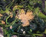 ほうれん草のガリバタ炒め作り方4写真