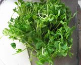 塩麹✿豆苗がモリモリ食べられる和え物✿作り方1写真
