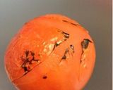 キュウリとトマトのサラダ作り方2写真