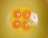 桜エビと青ネギの玉子焼き作り方3写真