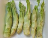 旬の味♪木の芽を食する（３）煮ていただく作り方1写真