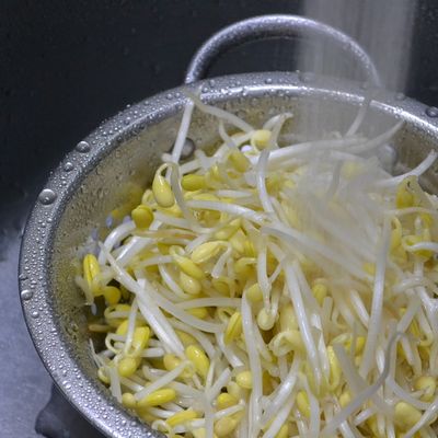豆もやし様 photo.jpg