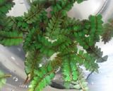 ふきの佃煮作り方1写真