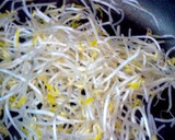 ５分で出来る！しゃきしゃき！もやし炒め♡作り方1写真