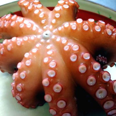 ゆでだこ★ 茹で蛸 【業務用食材の仕入れなら八面六臂】