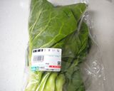 あっさりと♪うまい菜のさっと煮作り方1写真