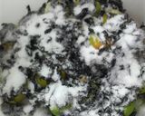 本格！梅干し作り方8写真