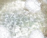 シェフ直伝！ラーメン屋の半熟味付け煮玉子作り方4写真
