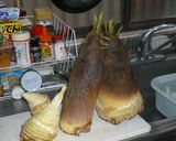 筍のお刺身作り方1写真