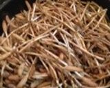 お酒のつまみに!シャキッと☆つくし炒め作り方4写真