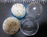 お弁当にぴったり…ふんわり「手まり寿司」作り方3写真
