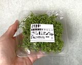 乾燥実山椒2026作り方9写真