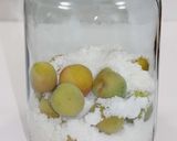 青梅生産農家が直伝。本格梅ジュース作り作り方6写真