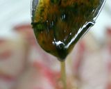 はまちのカルパチョ作り方9写真