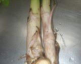 うどとこんにゃくのきんぴら作り方1写真