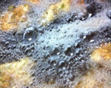 おつまみに！めんつゆで簡単ネギ風味の鶏天作り方2写真