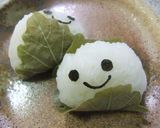 かしわ餅風おにぎりツインズのキャラ弁♪作り方8写真