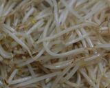 あんかけもやし作り方15写真