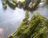 のびタラ、ごはん～タラの芽の混ぜご飯～作り方2写真