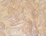 鶏むね肉のコチュジャンマヨネーズ漬け焼き作り方4写真