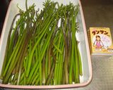 わらびの茹で方（私流）作り方3写真