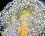 私の ペペロンチーノ風 スープスパ作り方5写真