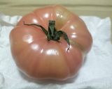 ♻️野菜プレップ｜下処理｜雑学｜③果菜類💚作り方1写真