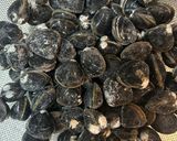 しじみの味噌汁 赤だし作り方1写真