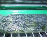レンジでできる葉わさびのおひたし作り方4写真