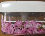 我が家の八重桜（関山）の塩漬け♪作り方8写真