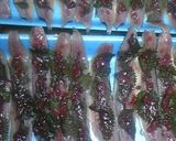さんまの梅しそ焼き作り方3写真