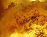 海っぽいPasta。作り方3写真