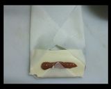 簡単★鶏肉ちーず春巻作り方5写真
