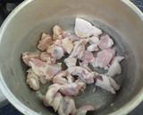 ココナッツミルクで!タイ風グリーンカレー作り方2写真