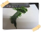 彩もいい♪薬味デス作り方3写真