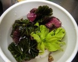 春の野草☆ユキノシタのおぼろ汁作り方1写真