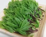 山菜の天ぷら作り方1写真