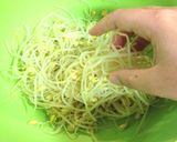 韓国おうちごはん＜豆もやしのビビンパ＞作り方3写真