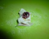 たこやき風チーズとクリーム包み巾着♥作り方4写真