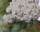 ツナと焼チーズのパイカナッペ作り方17写真