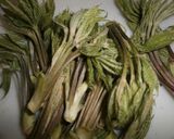 山菜の天ぷら作り方1写真