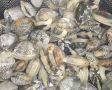 土鍋で♪うちの浅利の炊き込みご飯作り方1写真