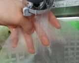 ルッコラ入りの生春巻き！作り方2写真