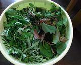 春の野草の酵素ジュース作り方1写真