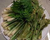 春の野草の酵素ジュース作り方7写真