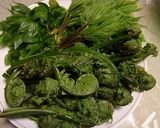 春の野草の酵素ジュース作り方8写真