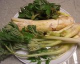 春の野草の酵素ジュース作り方10写真
