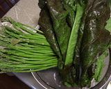 春の野草の酵素ジュース作り方12写真