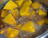 かぼちゃとひき肉の煮物作り方4写真