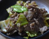 豚肉とキャベツのすし酢ケチャ炒め♪作り方2写真